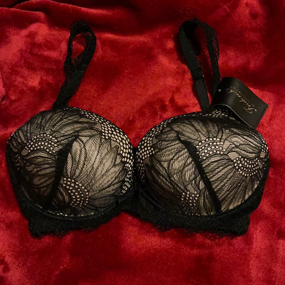 Saffron Lace Push Up Bra